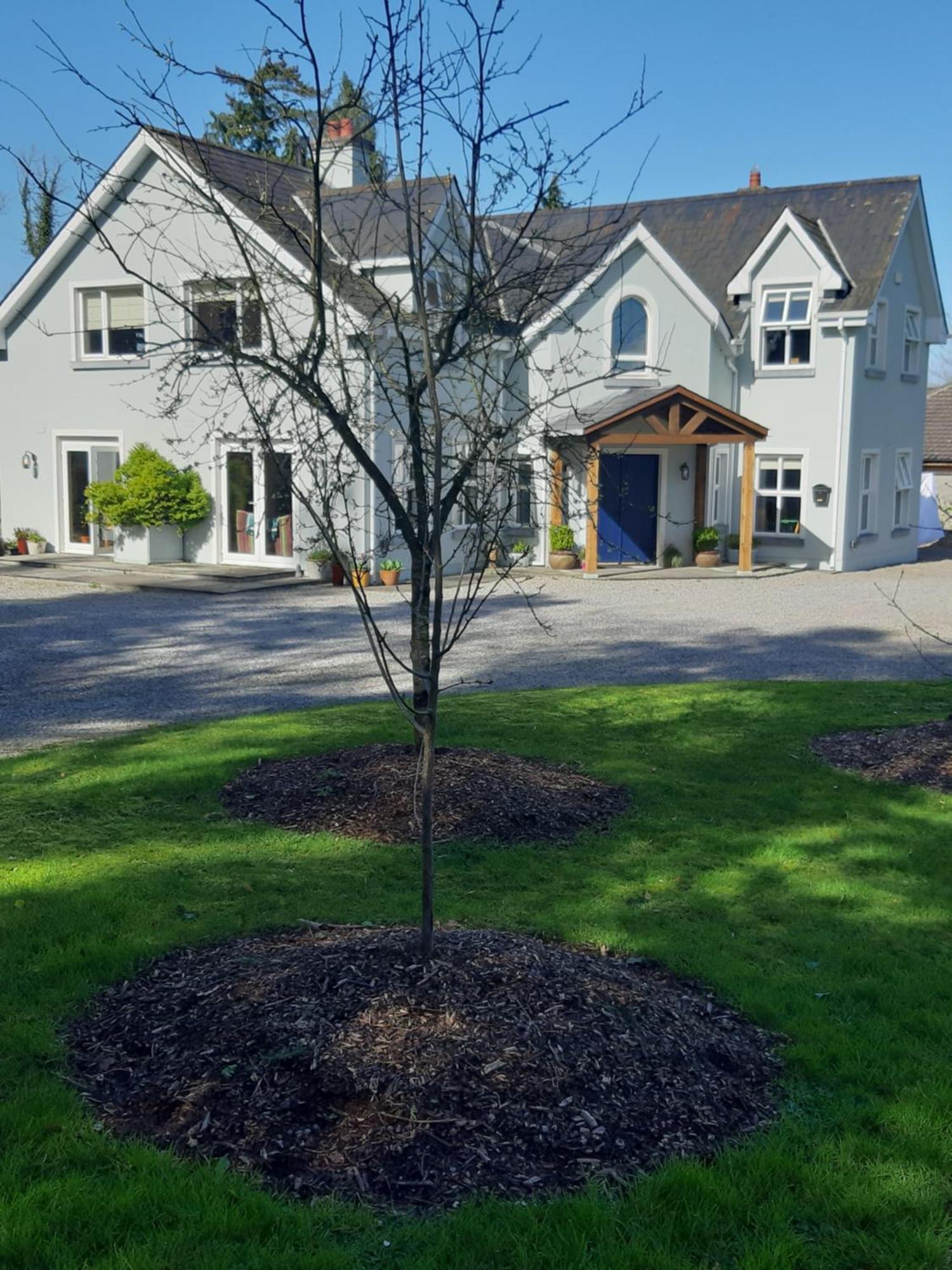 Kyleard Ryan Bed & Breakfast Monasterevin ภายนอก รูปภาพ